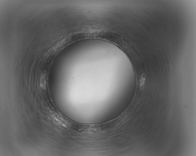 X0000076411204200610161052