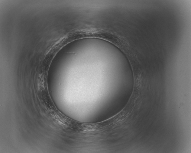 X0000076411205200610161052