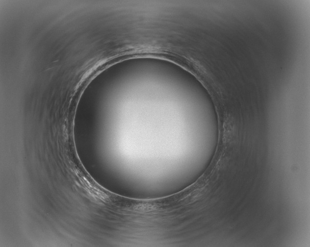X0000076411212200610161052