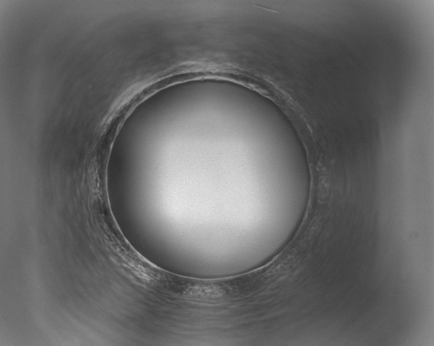 X0000076411215200610161052