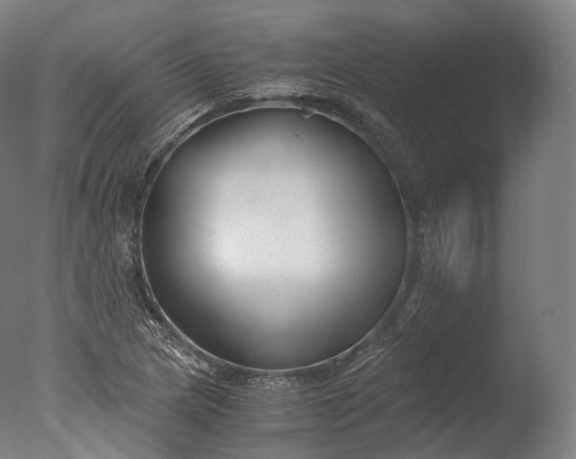 X0000076411217200610161052