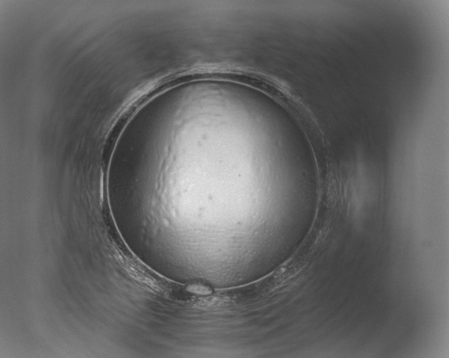X0000076411221200610161052