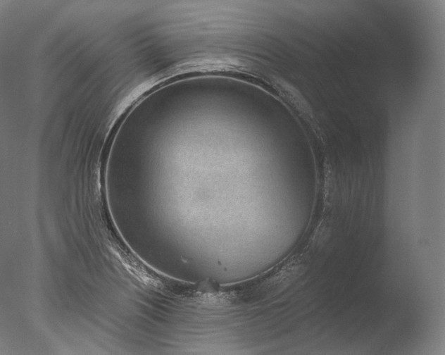 X0000076411226200610161052