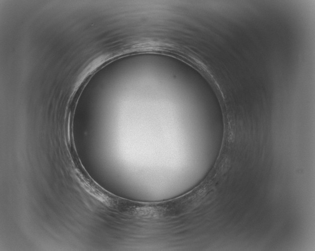 X0000076411227200610161052
