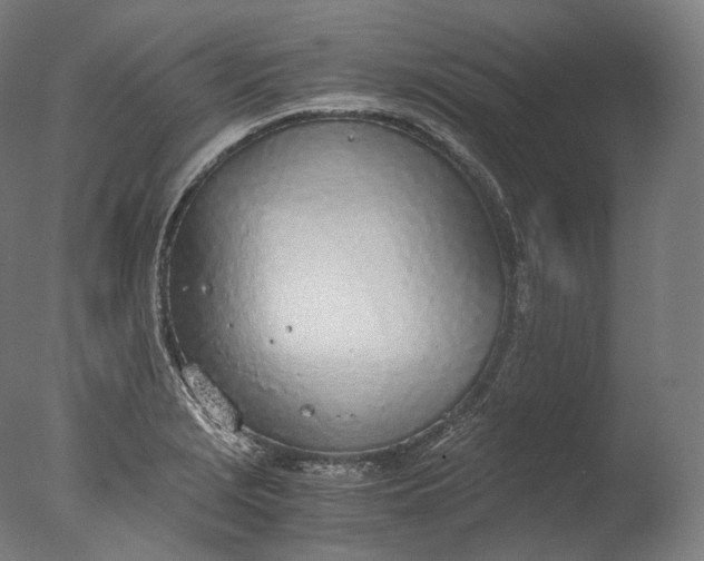 X0000076411229200610161052