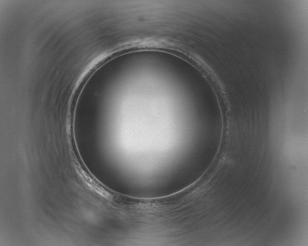 X0000076411232200610161052