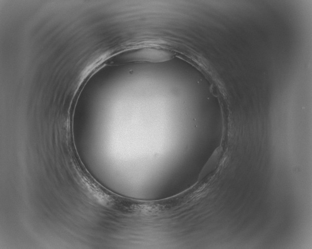 X0000076411234200610161052
