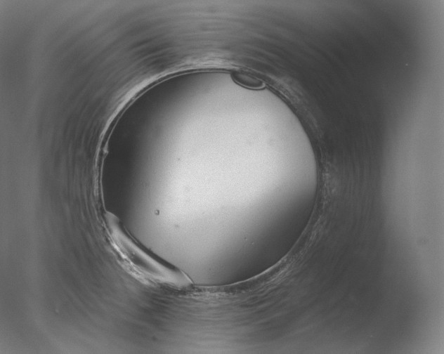 X0000076411236200610161052