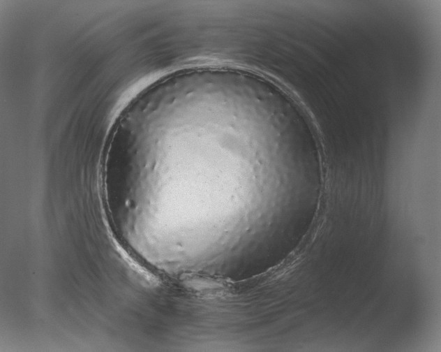 X0000076411239200610161052