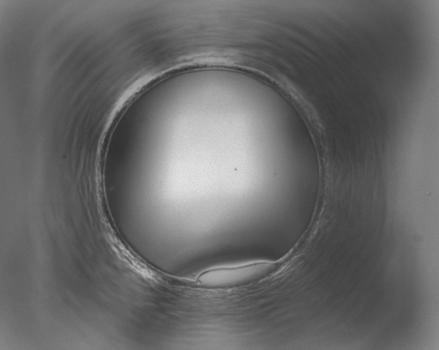 X0000076411240200610161052