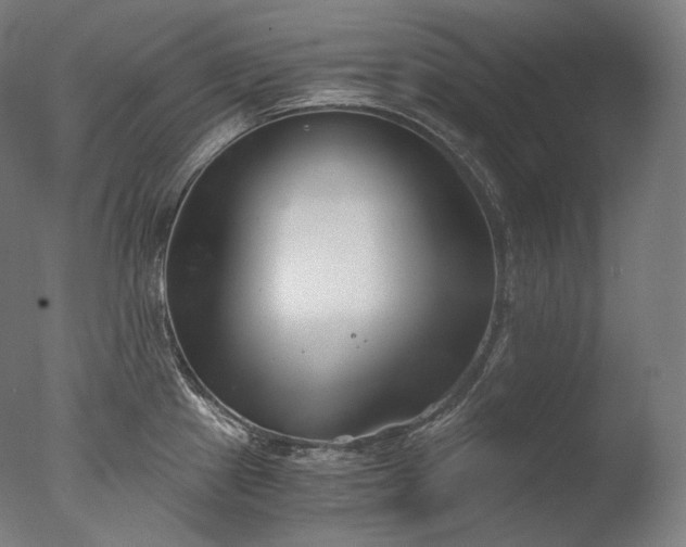 X0000076411241200610161052
