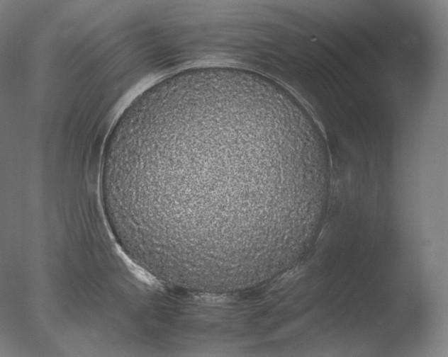 X0000076411245200610161052