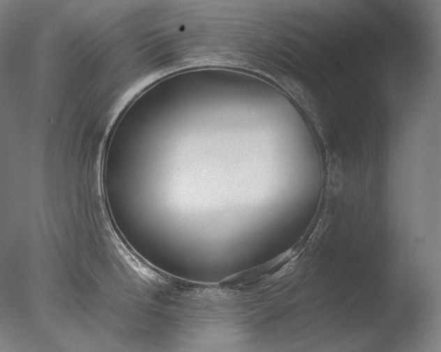 X0000076411246200610161052