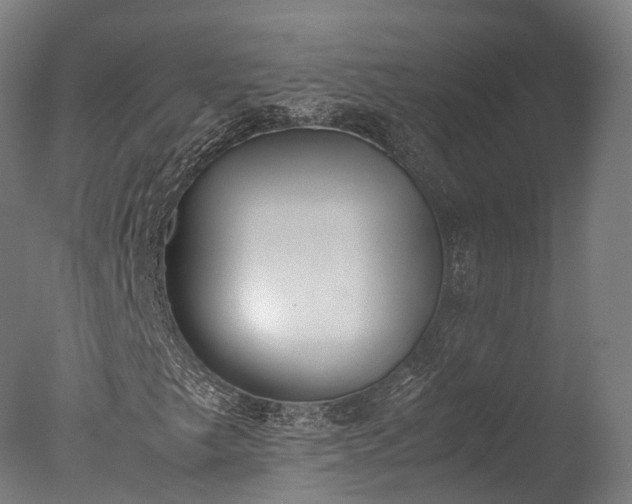 X0000076411249200610161052