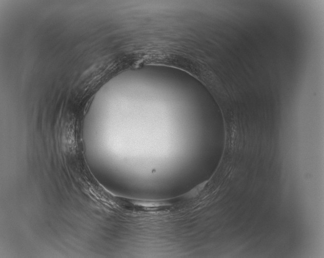 X0000076411250200610161052