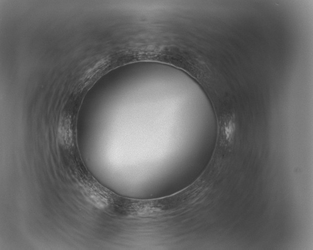X0000076411252200610161052