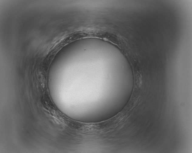 X0000076411253200610161052