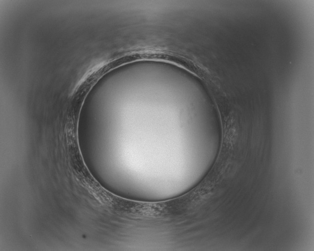 X0000076411255200610161051