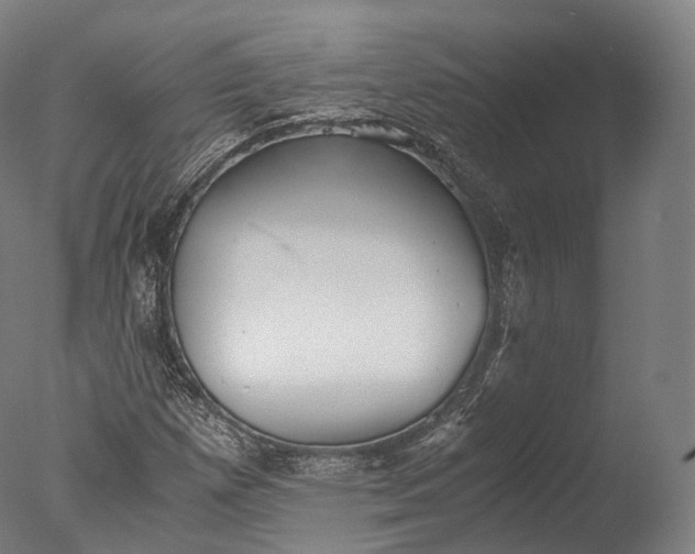 X0000076411257200610161051