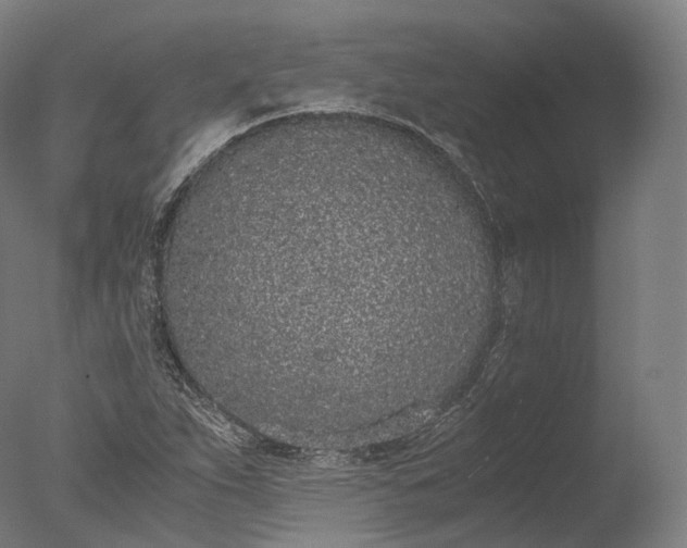 X0000076411263200610161051