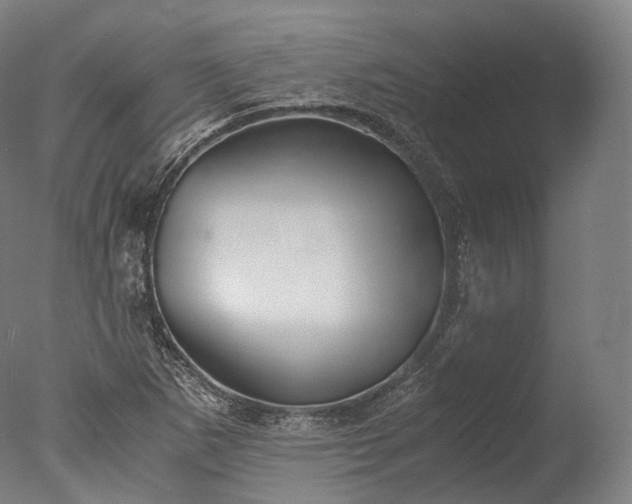X0000076411265200610161051