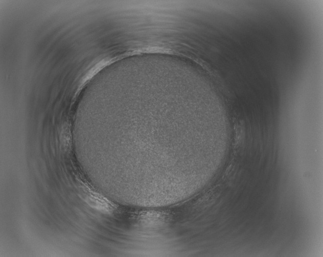 X0000076411266200610161051