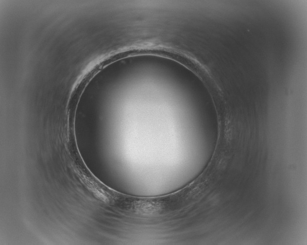 X0000076411270200610161051