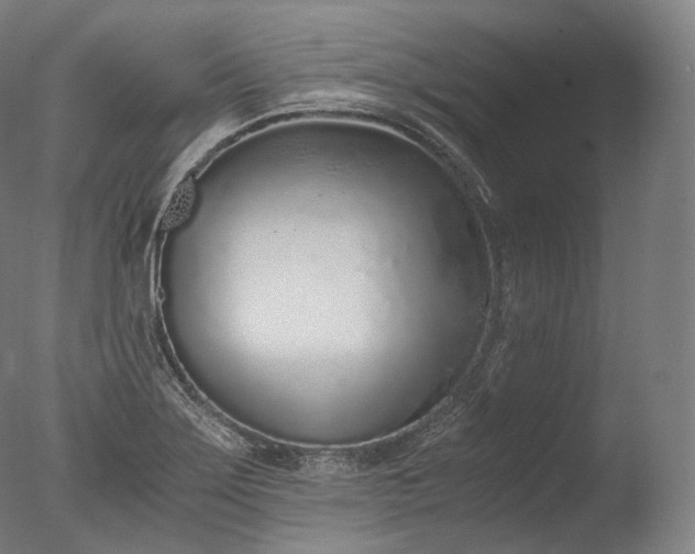 X0000076411275200610161051