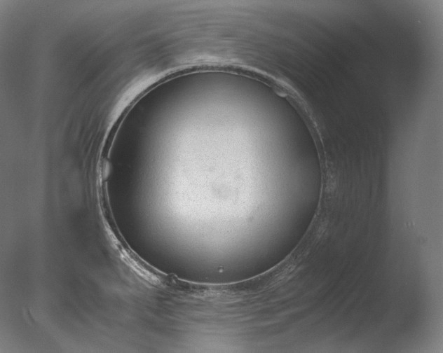 X0000076411287200610161051