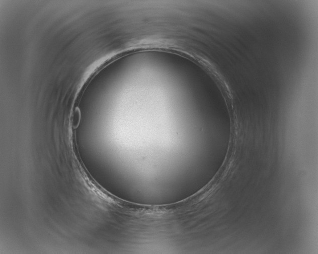 X0000076411288200610161051