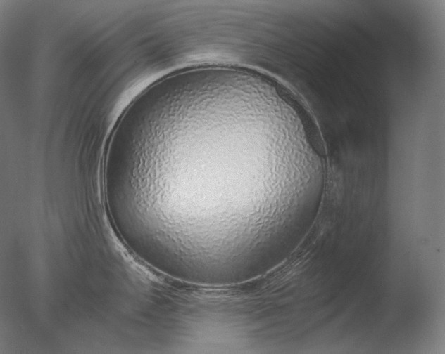 X0000076411295200610161051