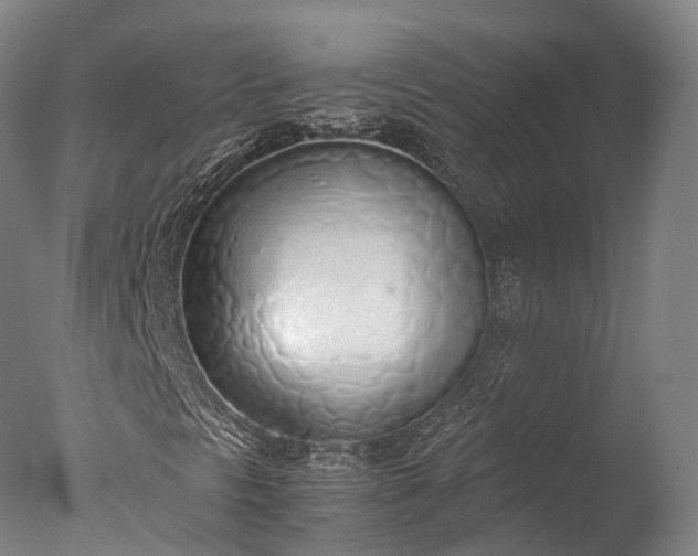 X0000076411297200610161050