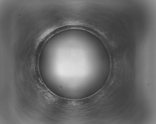 X0000076411311200610161050
