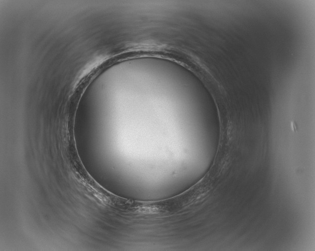 X0000076411315200610161050