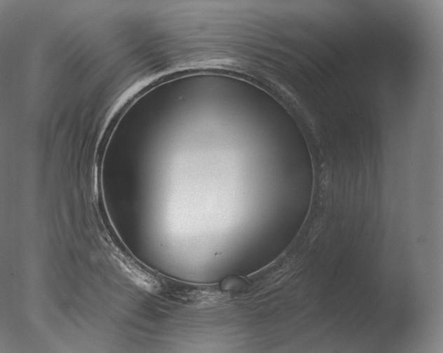 X0000076411324200610161050