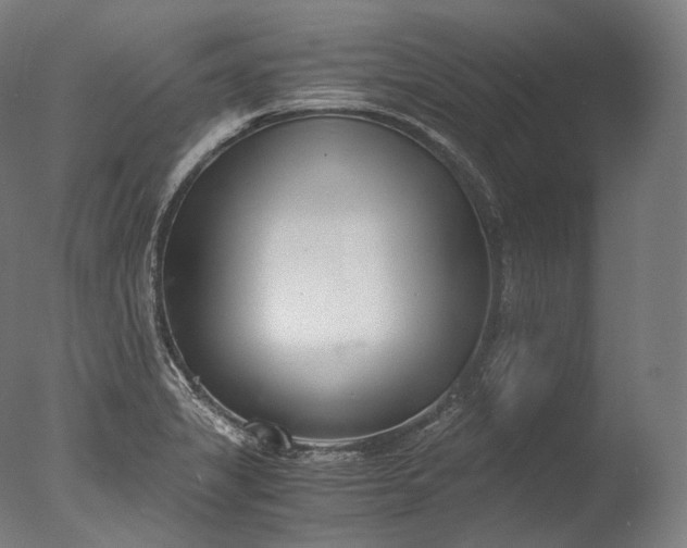 X0000076411325200610161050