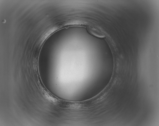 X0000076411329200610161051
