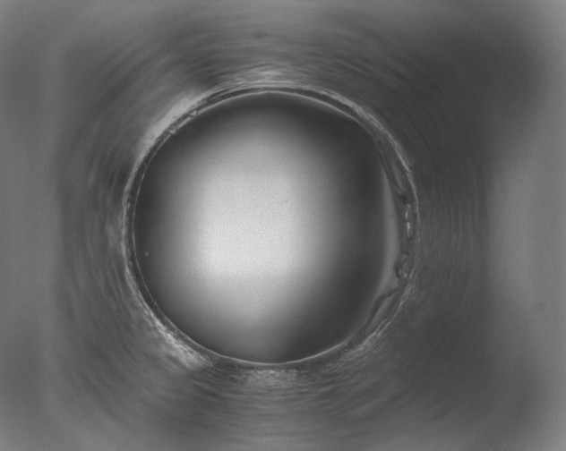 X0000076411333200610161051