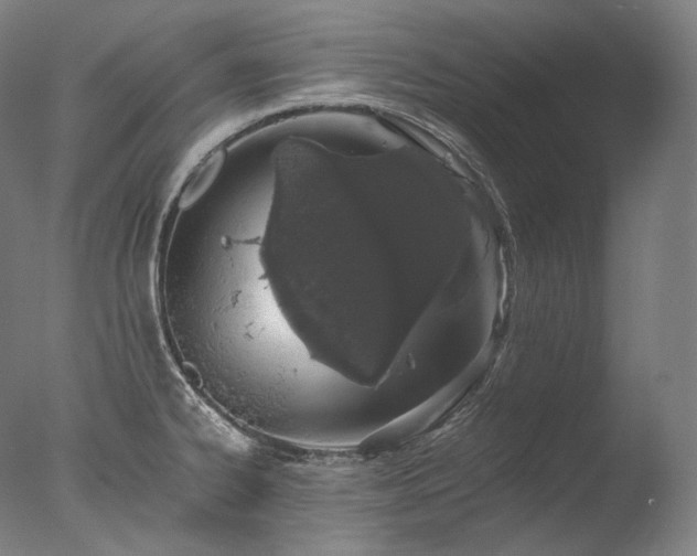 X0000076411334200610161051