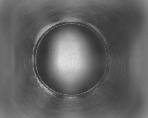 X0000076411335200610161051