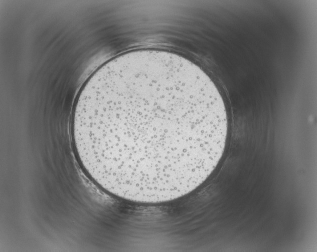 X0000076411338200610161051