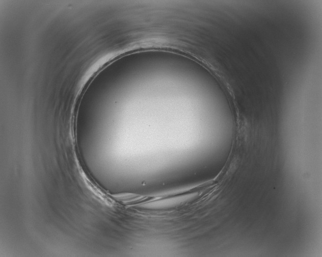 X0000076411342200610161051