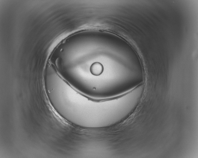 X0000076411344200610161051