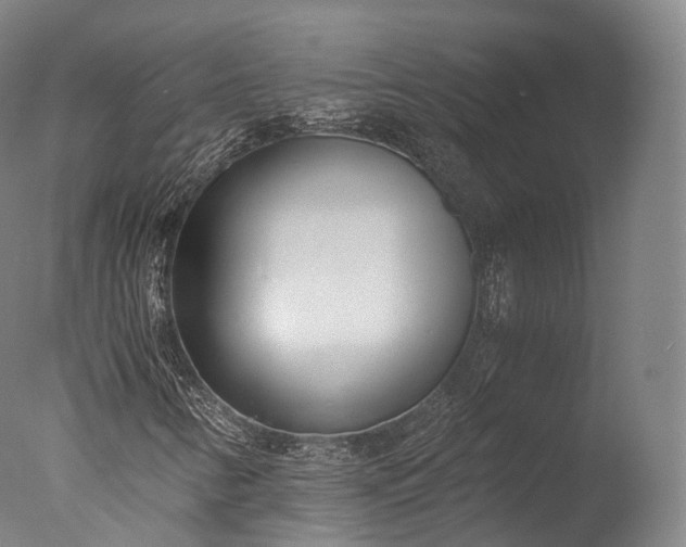 X0000076411346200610161050