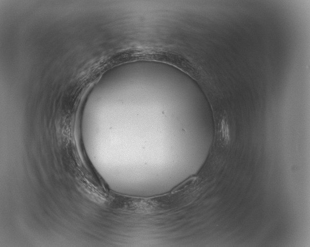 X0000076411348200610161050