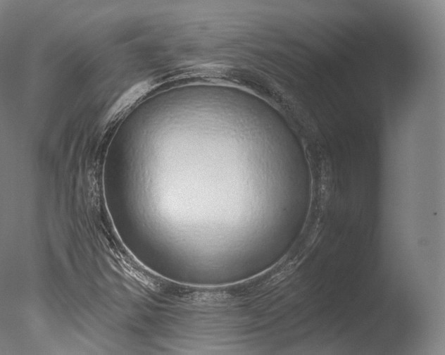 X0000076411354200610161050