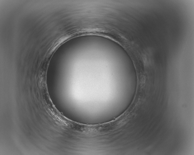 X0000076411361200610161050
