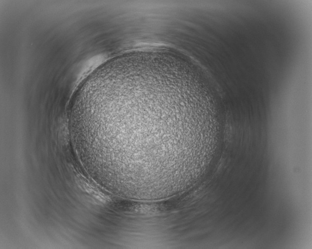 X0000076411362200610161050