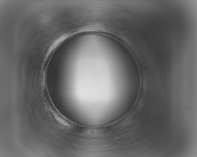 X0000076411366200610161050