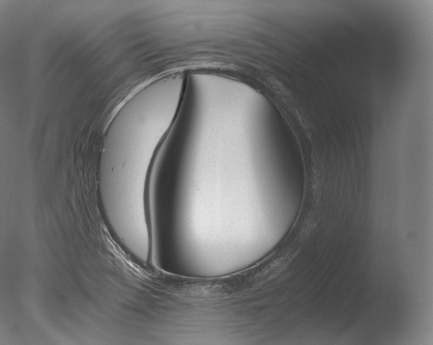 X0000076411369200610161050